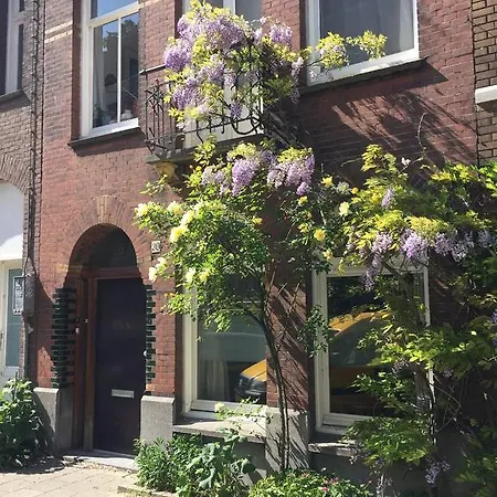 Studio Garden View B&B 암스테르담